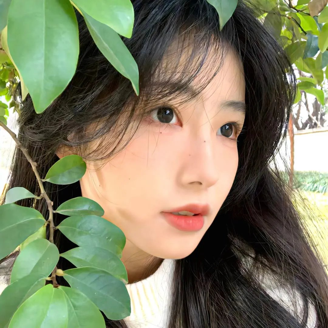 看狗在说话